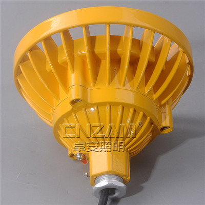 ZBD101 30wled防爆投光燈,防爆led泛光燈40w,50W吊桿式防爆燈__防爆電器_防爆電器_防爆燈__中國安防展覽網